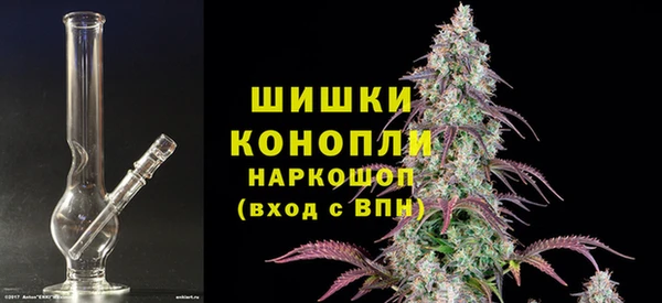 прущие грибы Алагир