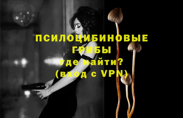 стафф Абинск
