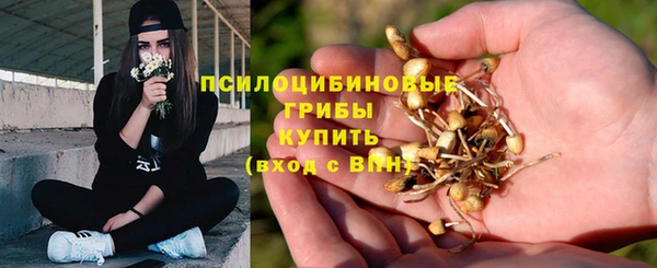 СК Няндома
