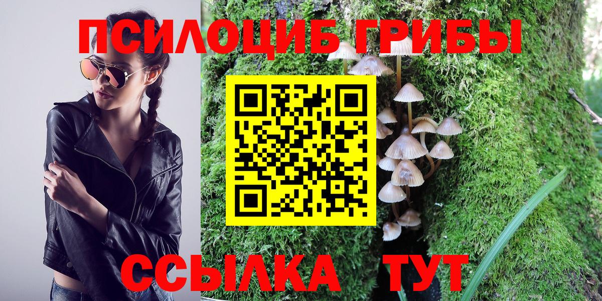Алейск  Галлюциногенные грибы ЛСД  Вход с VPN 