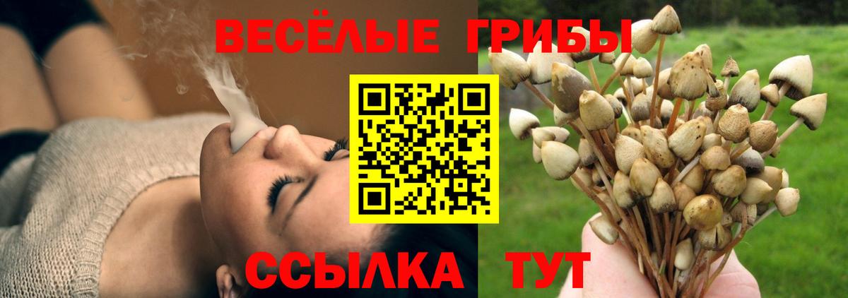 Псилоцибиновые грибы Magic Shrooms Алейск